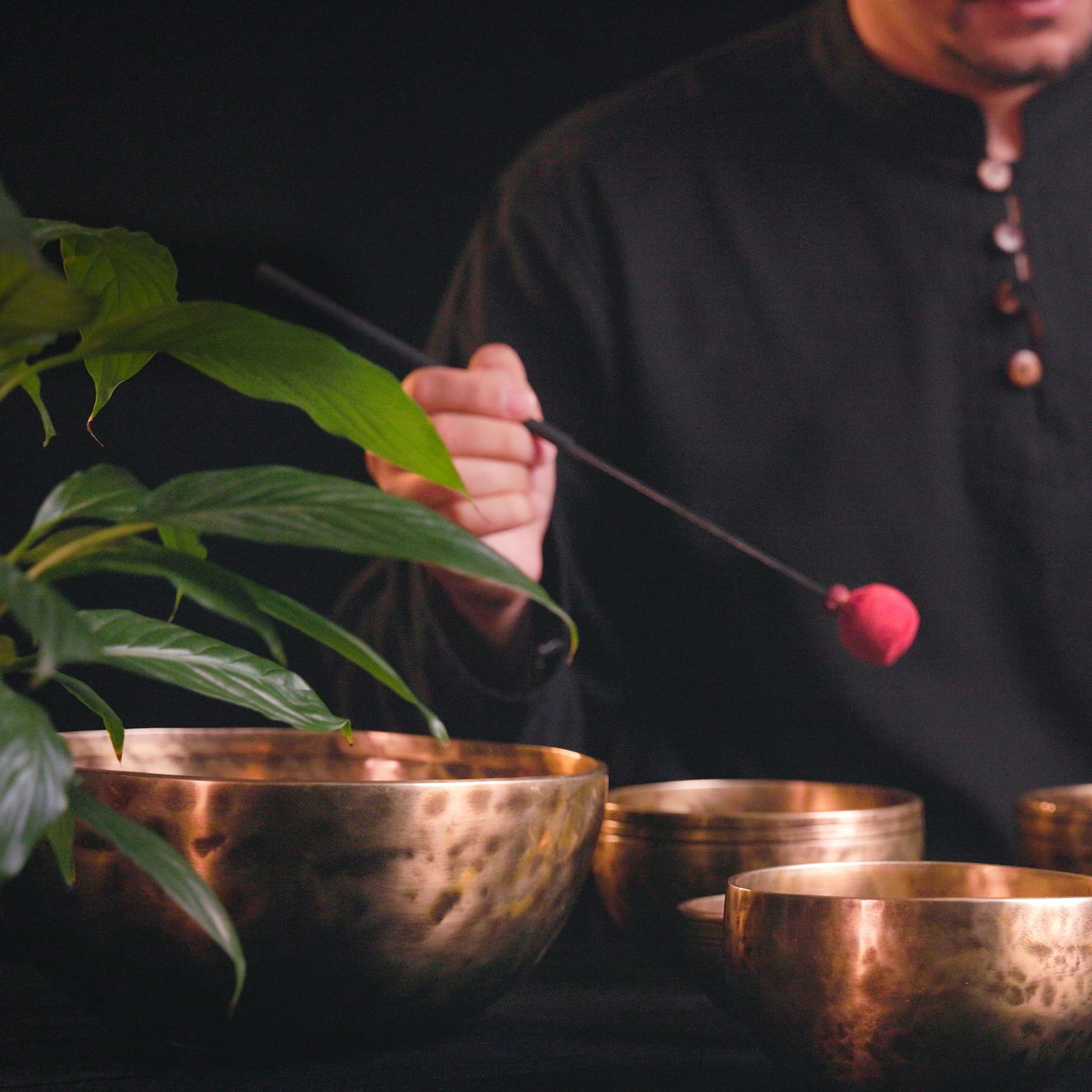 Jambati Tibetan Singing Bowl HW70- 8 3/4", E3 & B4.